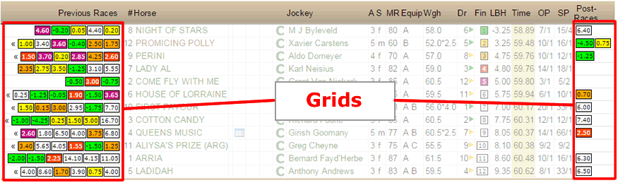 Screen print showing the grids in a race result